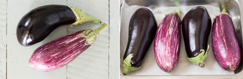 varieties of aubergines