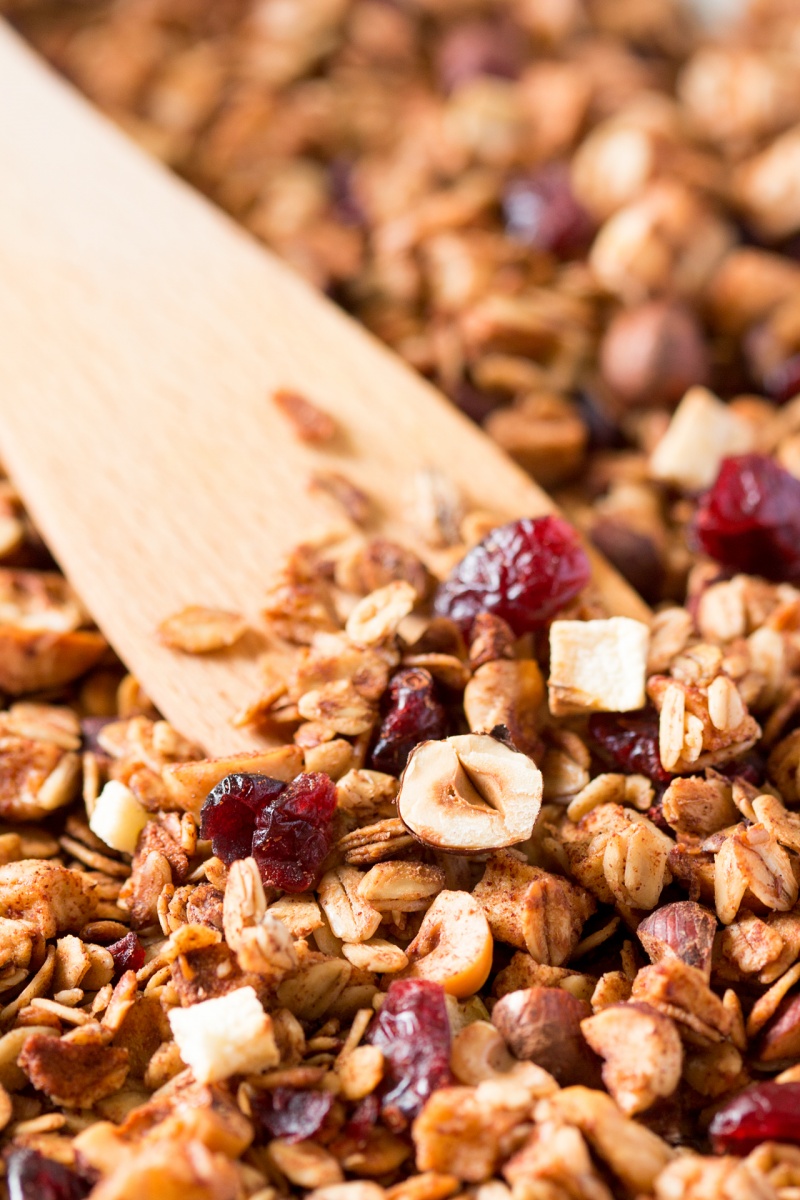 low fat apple granola close up