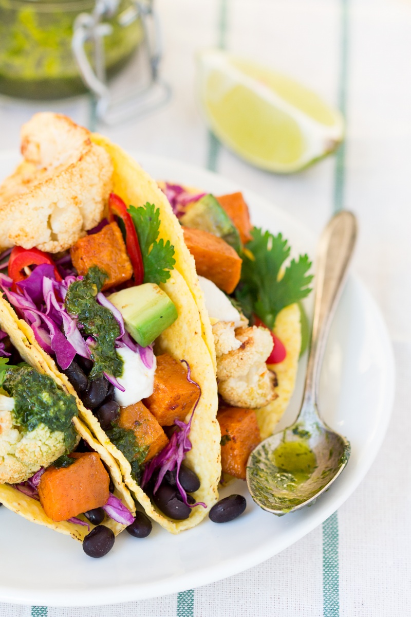 winter tacos with chimichurri sauce portion