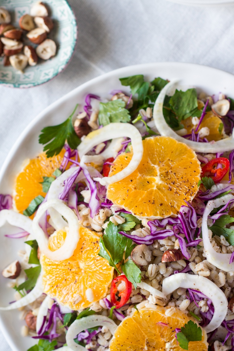 vegan fennel orange salad close up