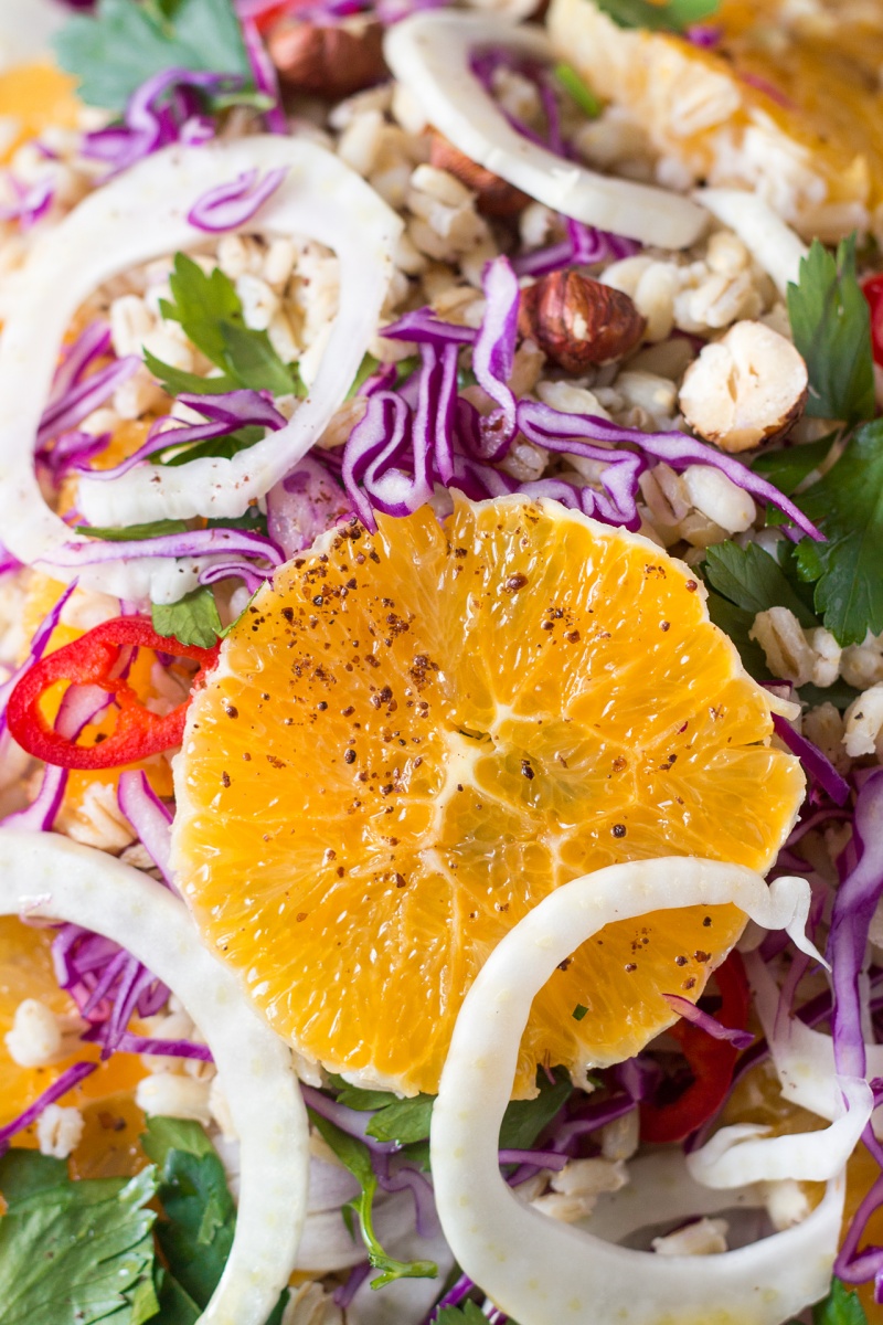 vegan fennel orange salad macro