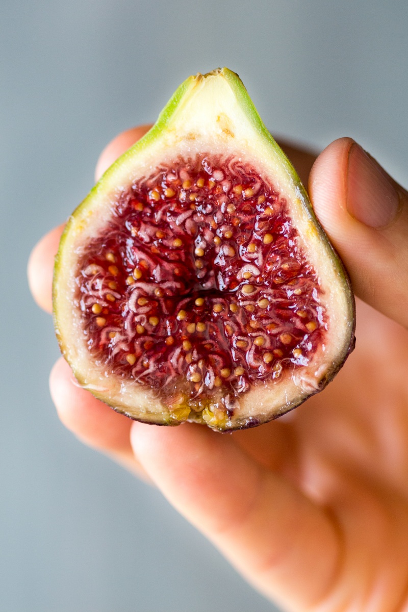 fig cross section for fig and rocket salad