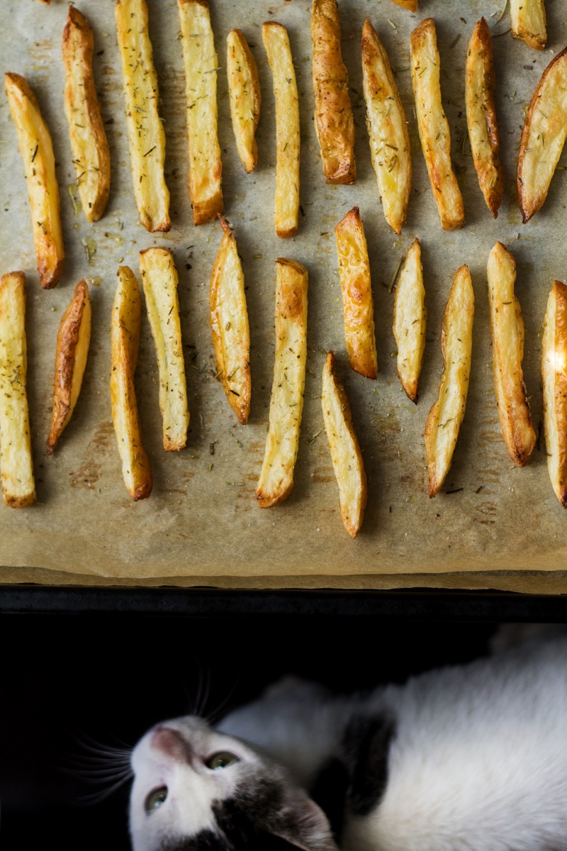 would love me some rosemary fries