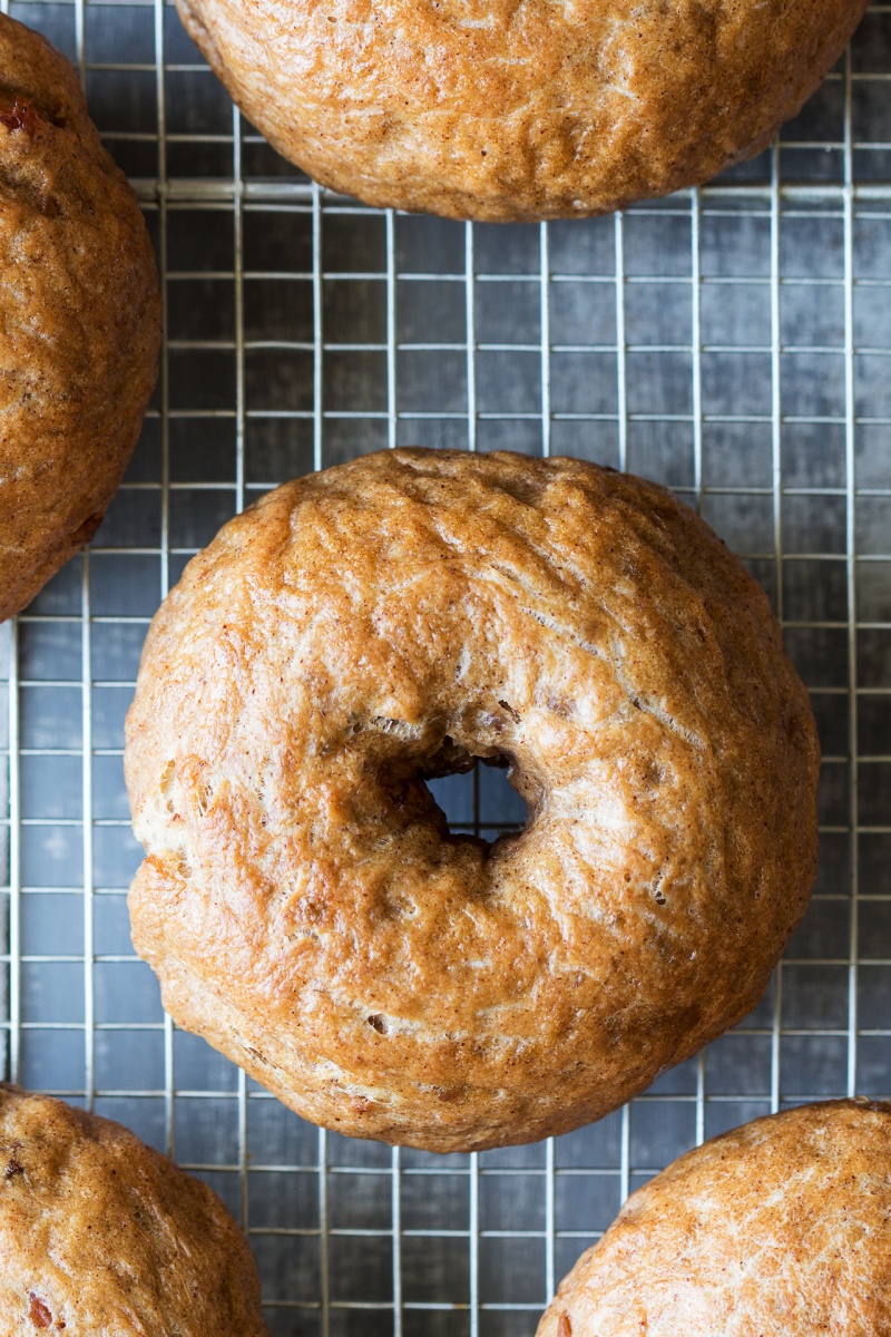 cinnamon raisin bagels close up