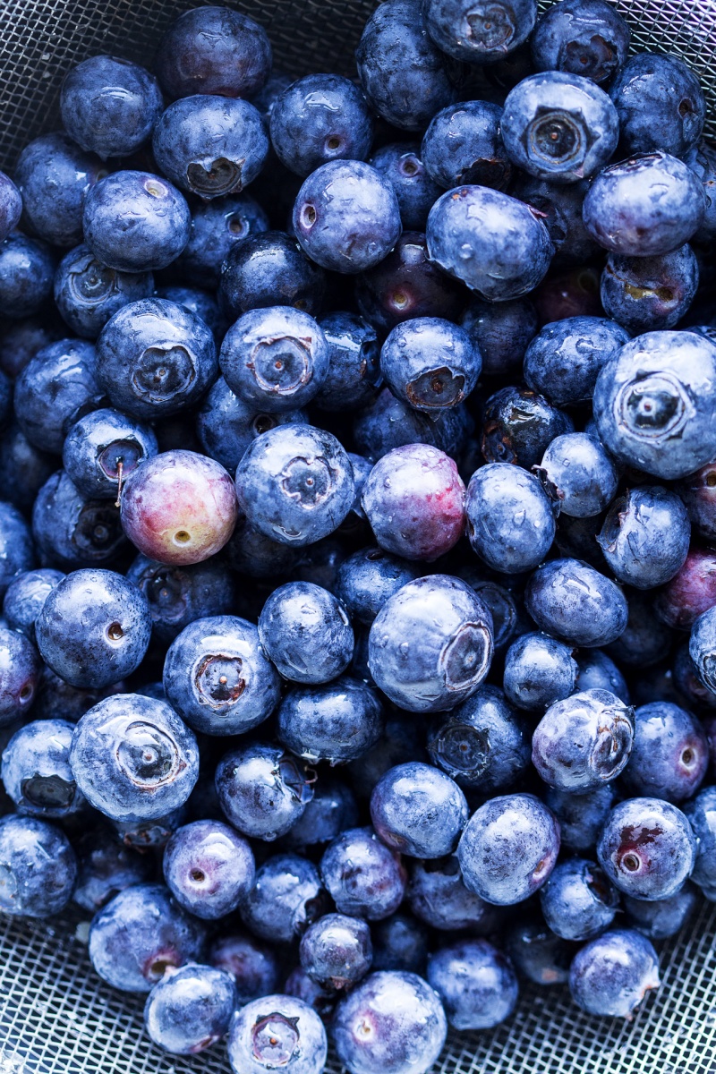vegan blueberry pancakes fresh blueberries