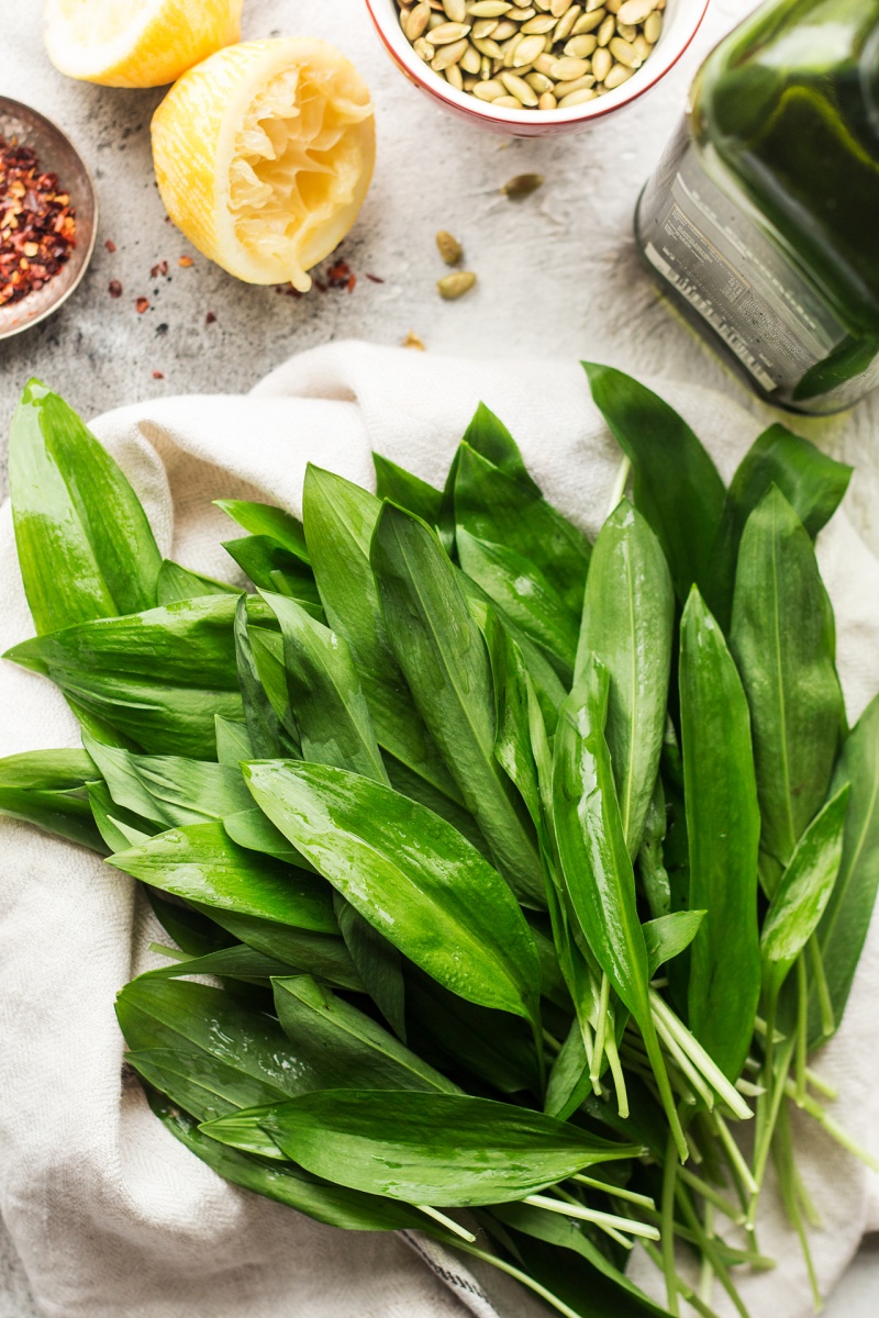 wild garlic bunch