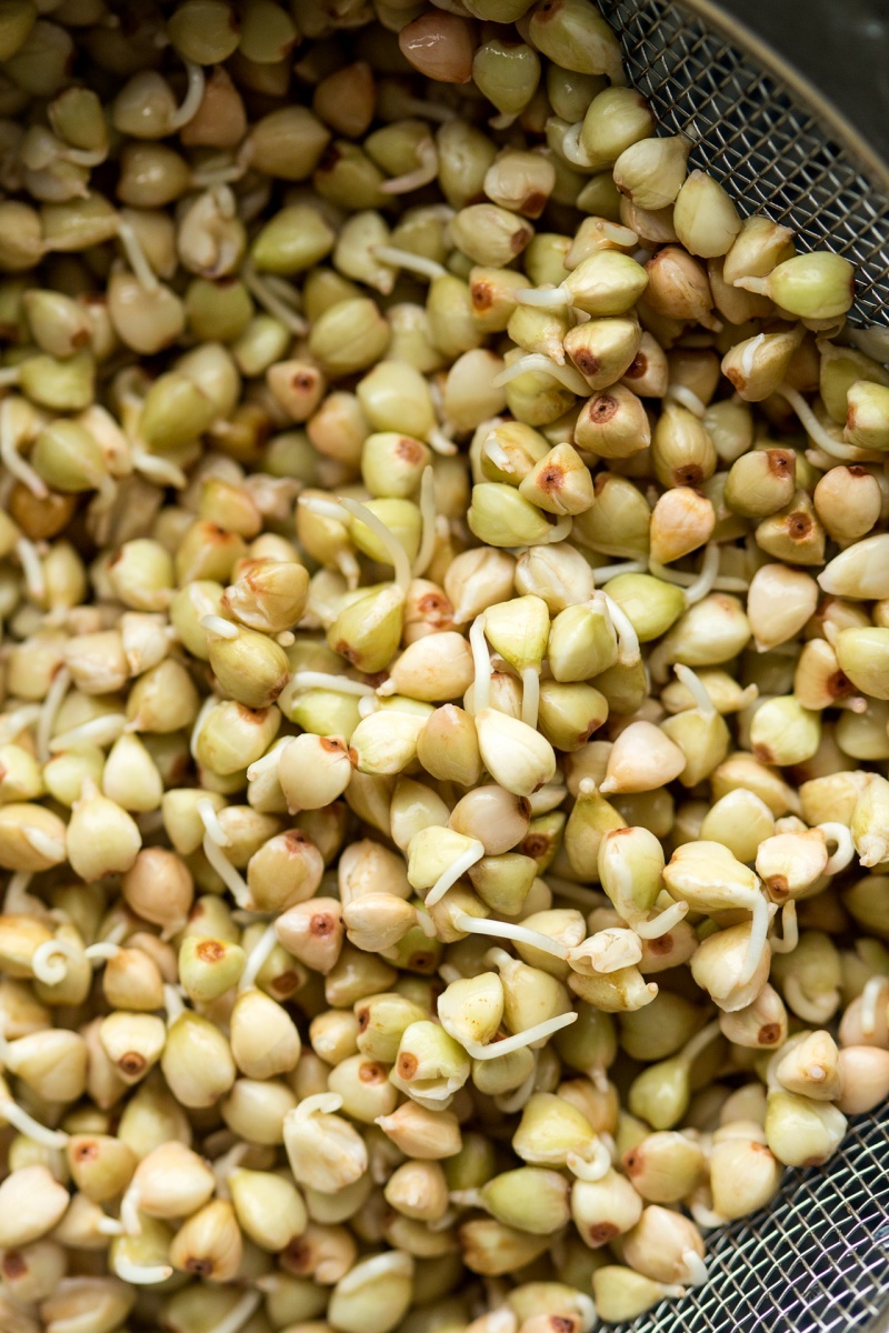 sprouted buckwheat