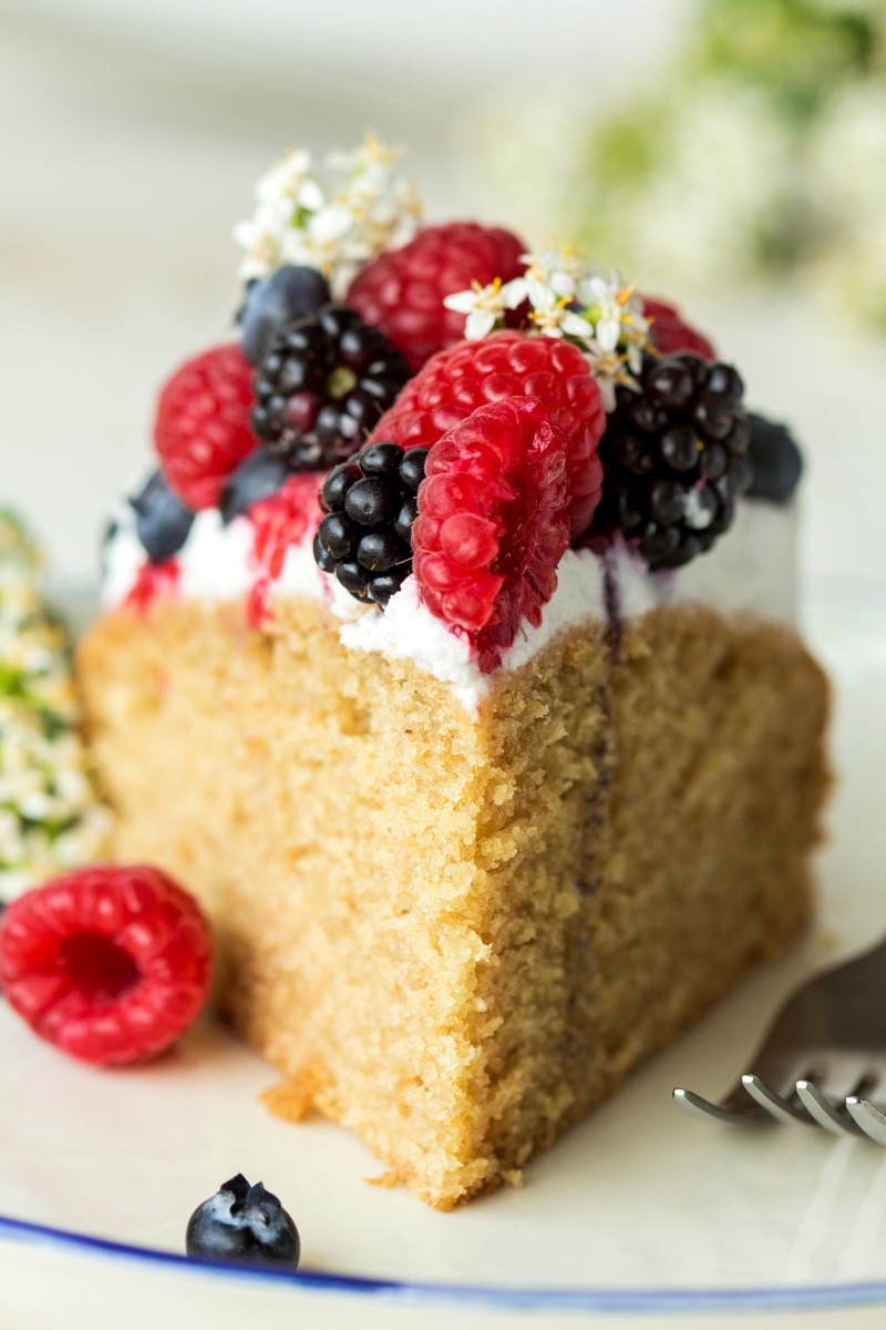 vegan sponge cream berries slice