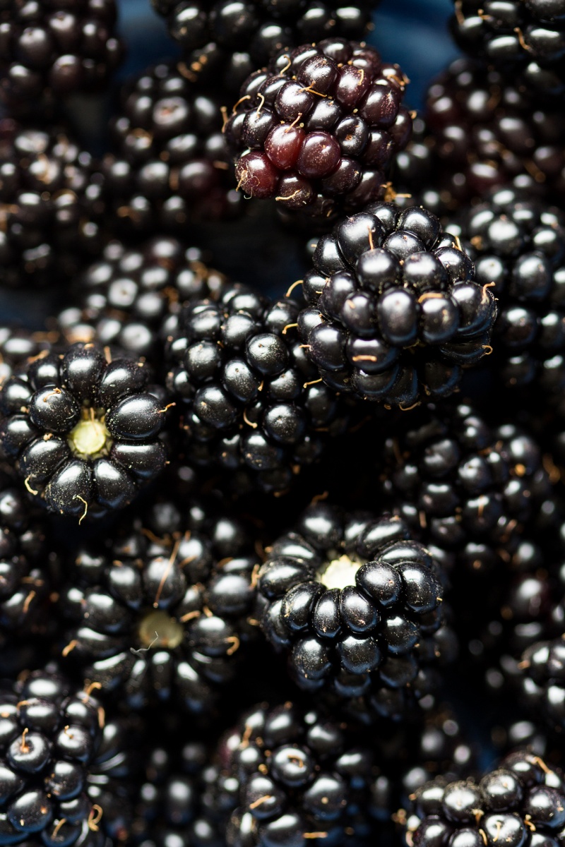 granola pots blackberries