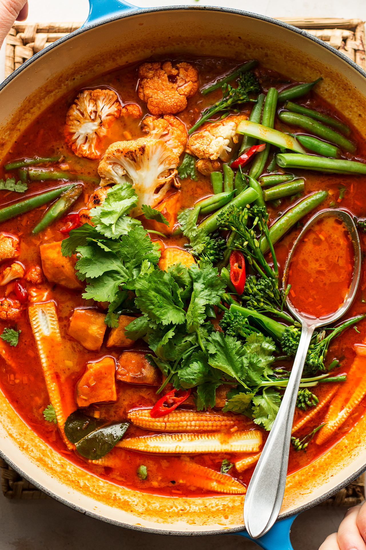 vegan red thai curry close