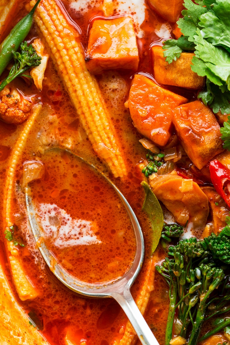 vegan thai red curry spoon