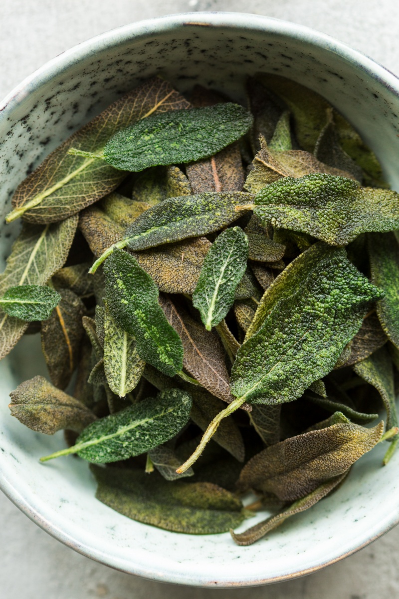 creamy pumpkin pasta fried sage