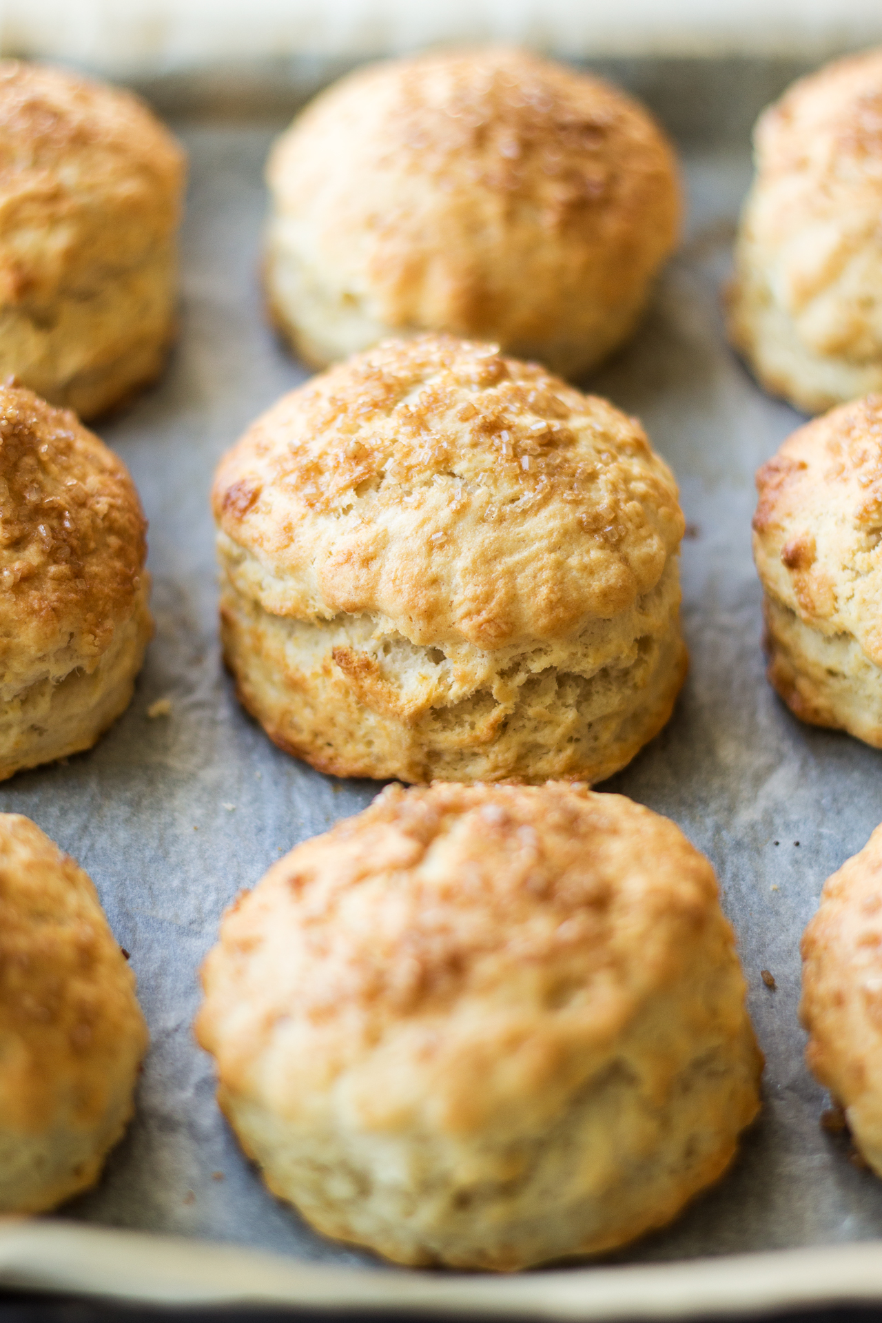 vegan scones baked close