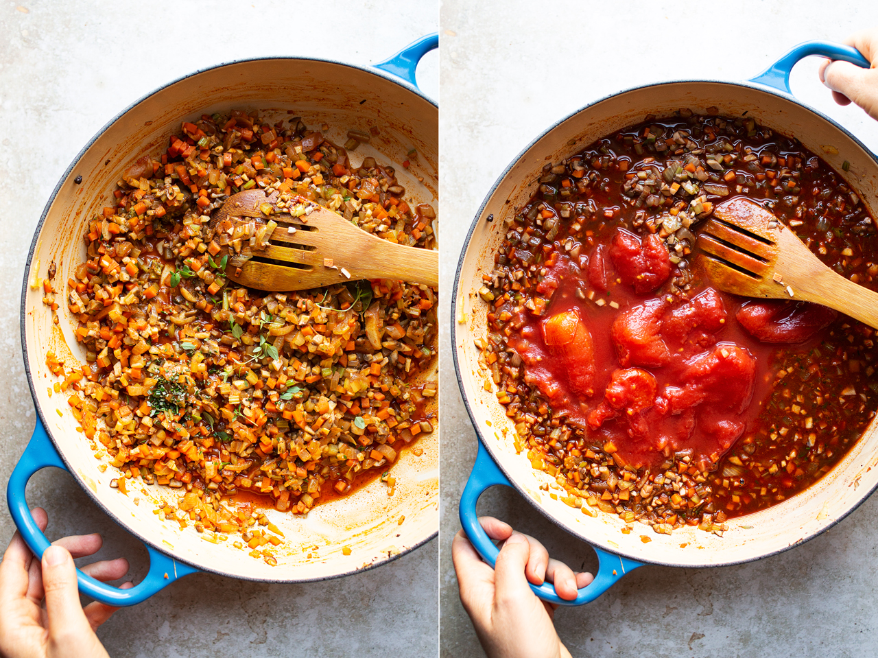 plant bolognese process