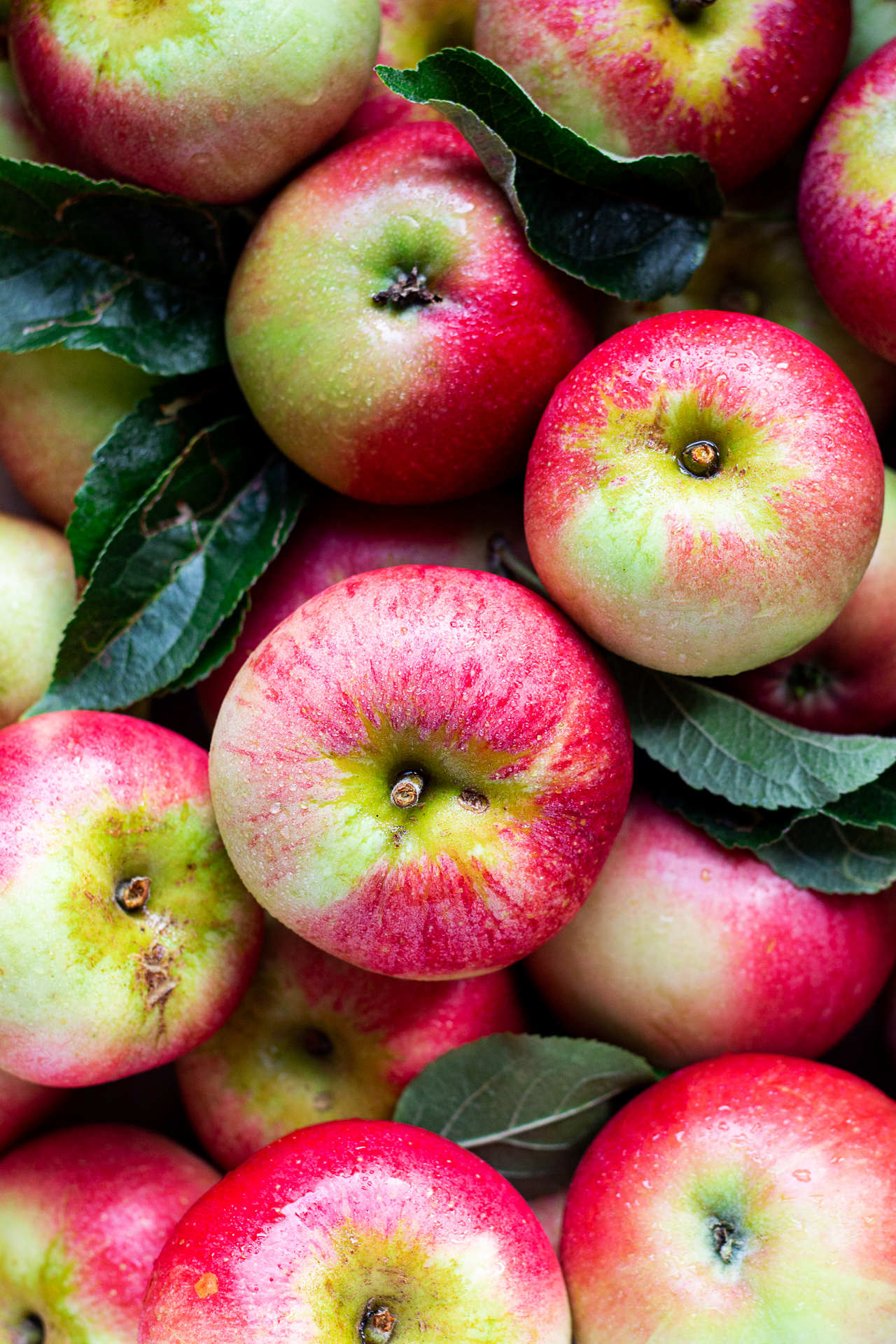 vegan apple muffins apples