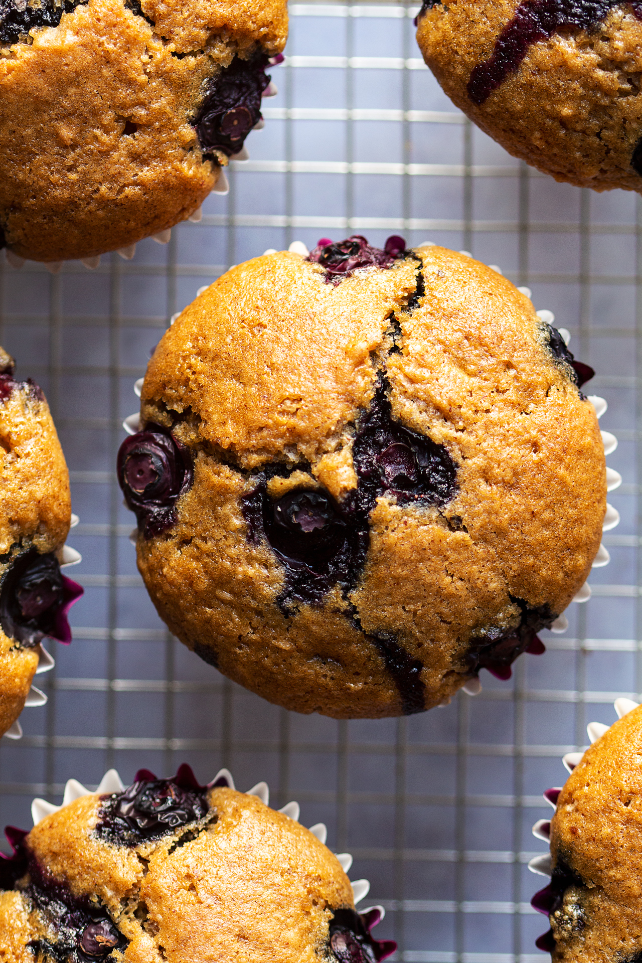 vegan blueberry muffins close up
