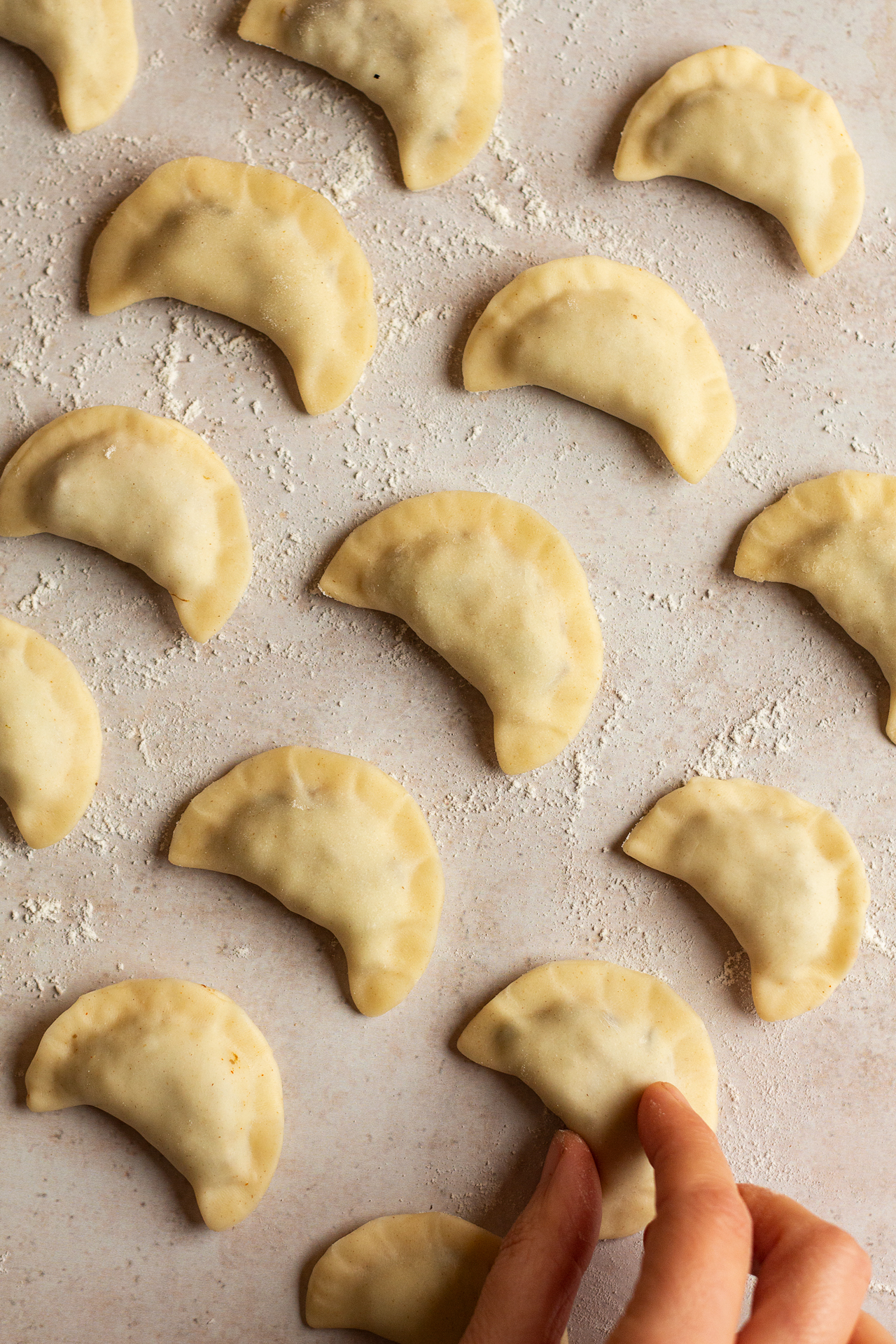 vegan mushroom cabbage pierogi made