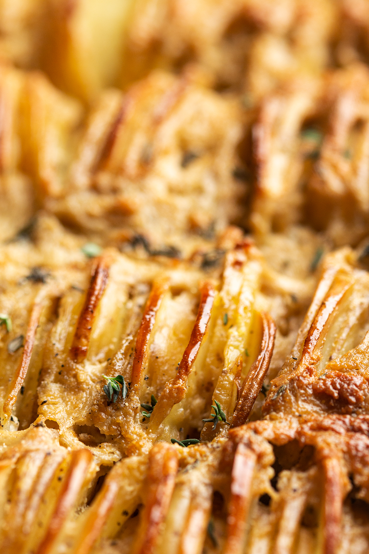 vegan potato gratin close up