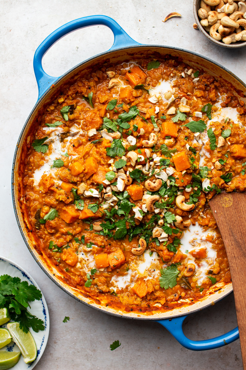 sweet potato red lentil curry close up