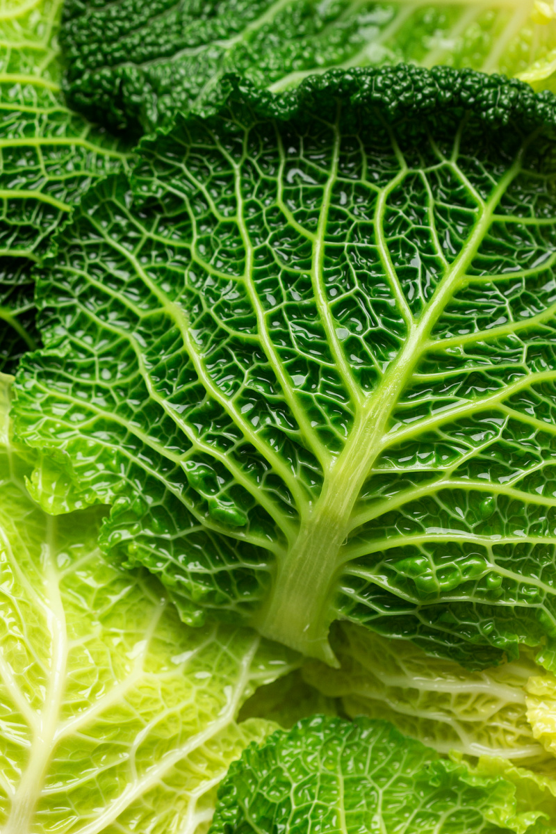 vegan cabbage rolls leaves