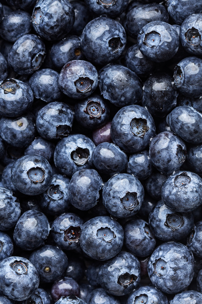 vegan jagodzianki blueberry buns blueberries