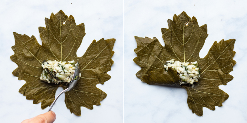 greek stuffed vine leaves assembly sq