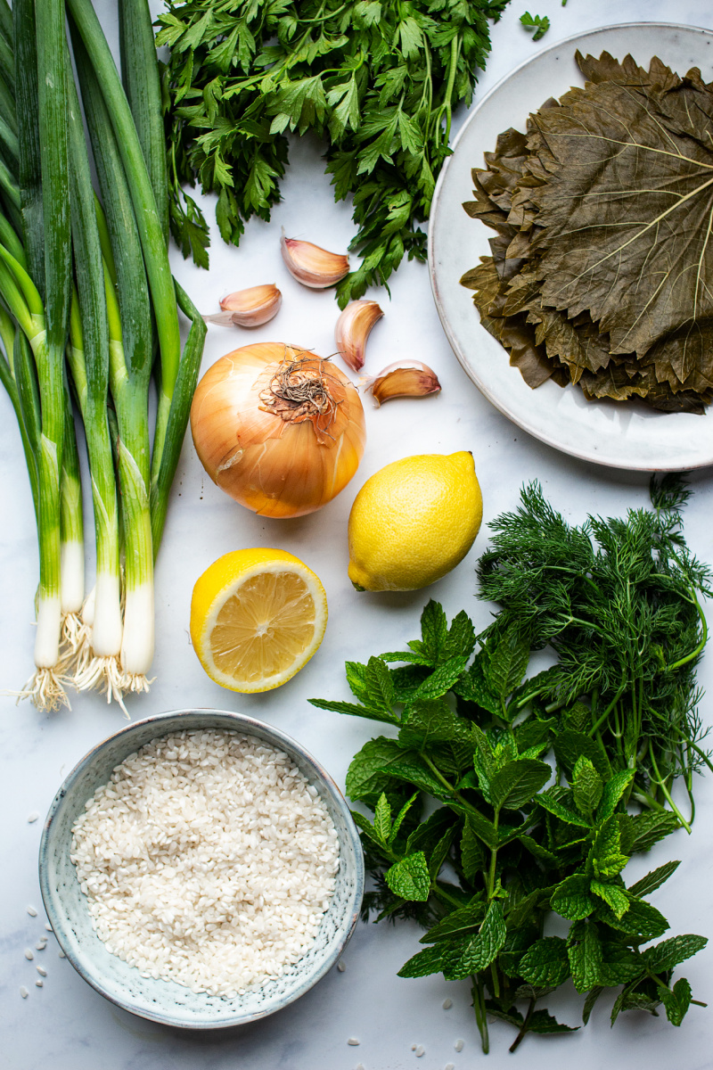 greek stuffed vine leaves ingredients