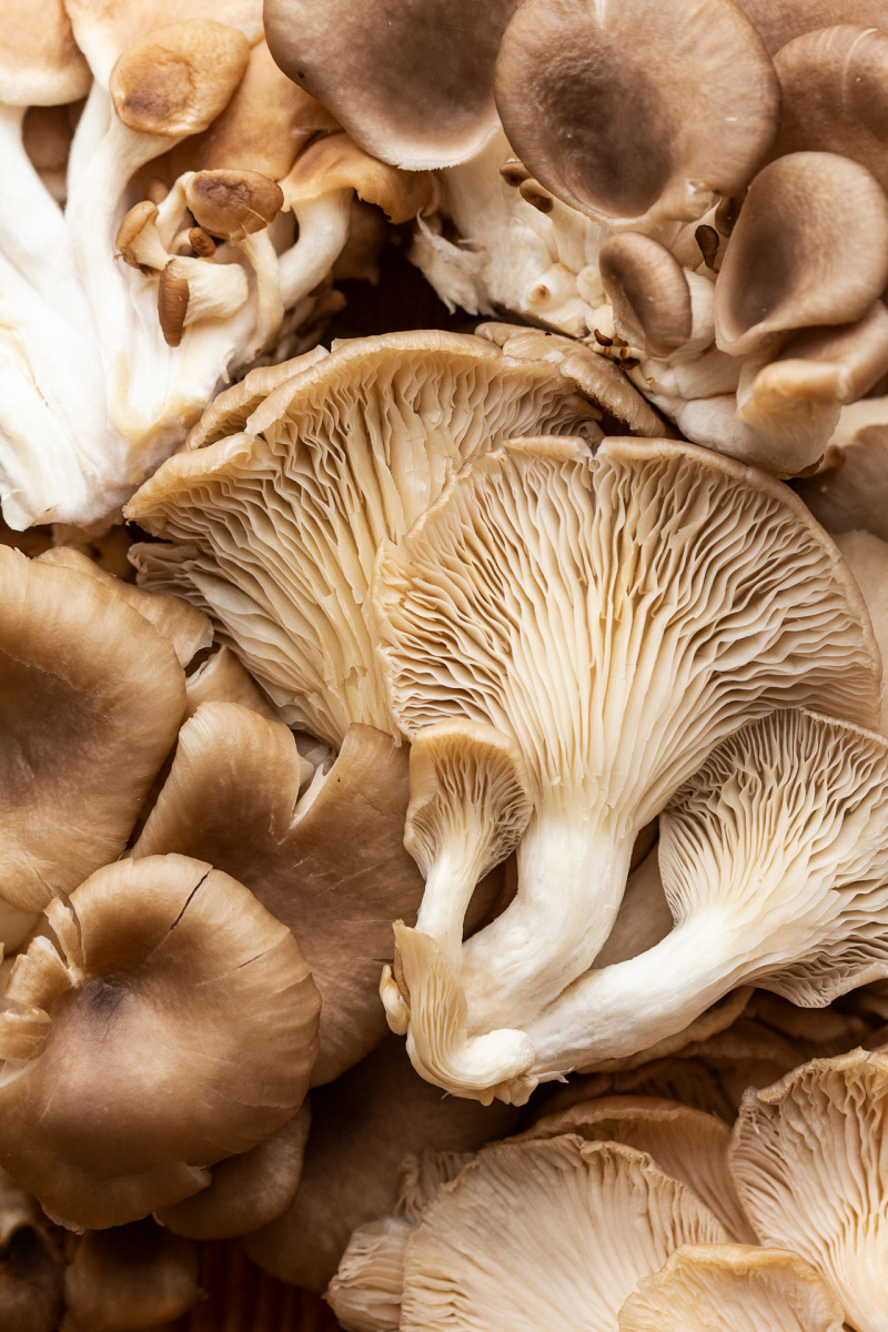 vegan fajitas mushrooms