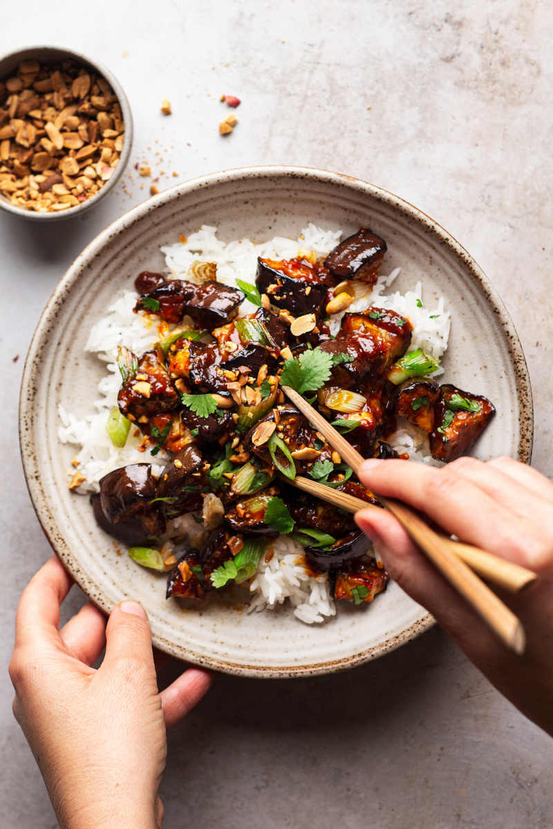 Gochujang Eggplant Recipe - Spicy Korean Eggplant Recipe