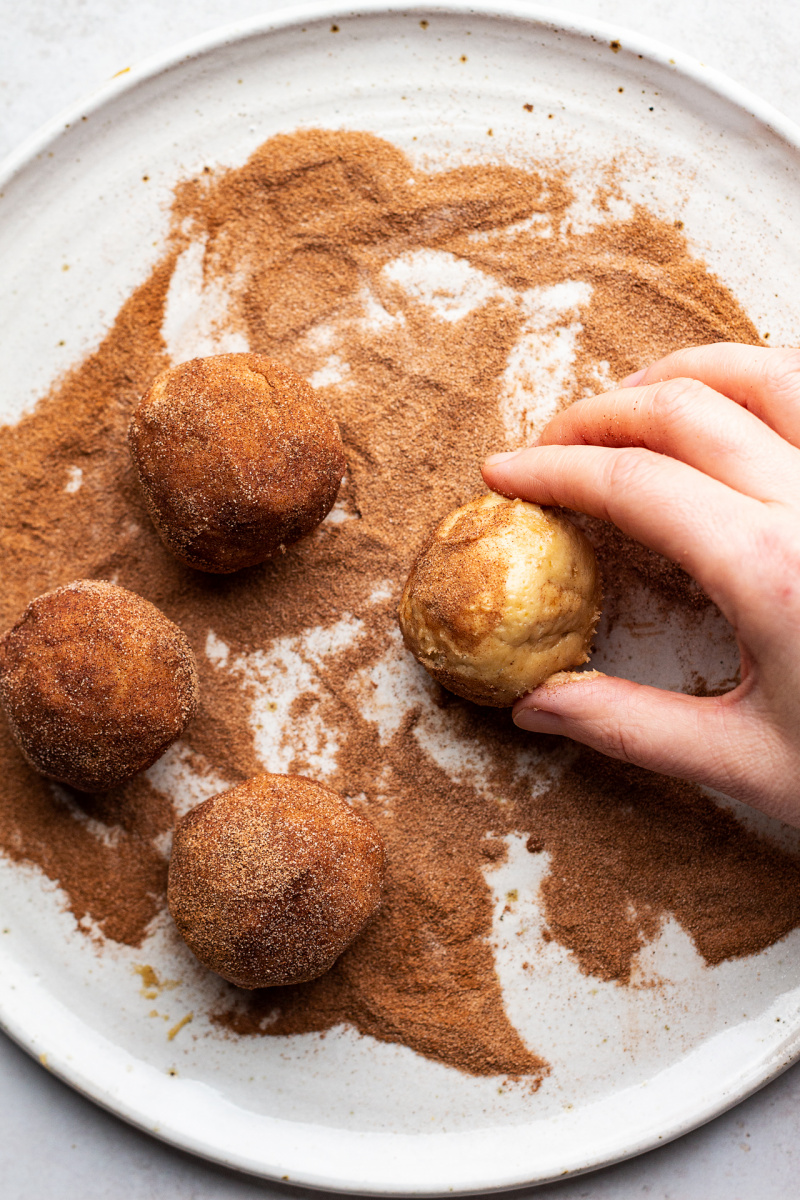 vegan snickerdoodles coating