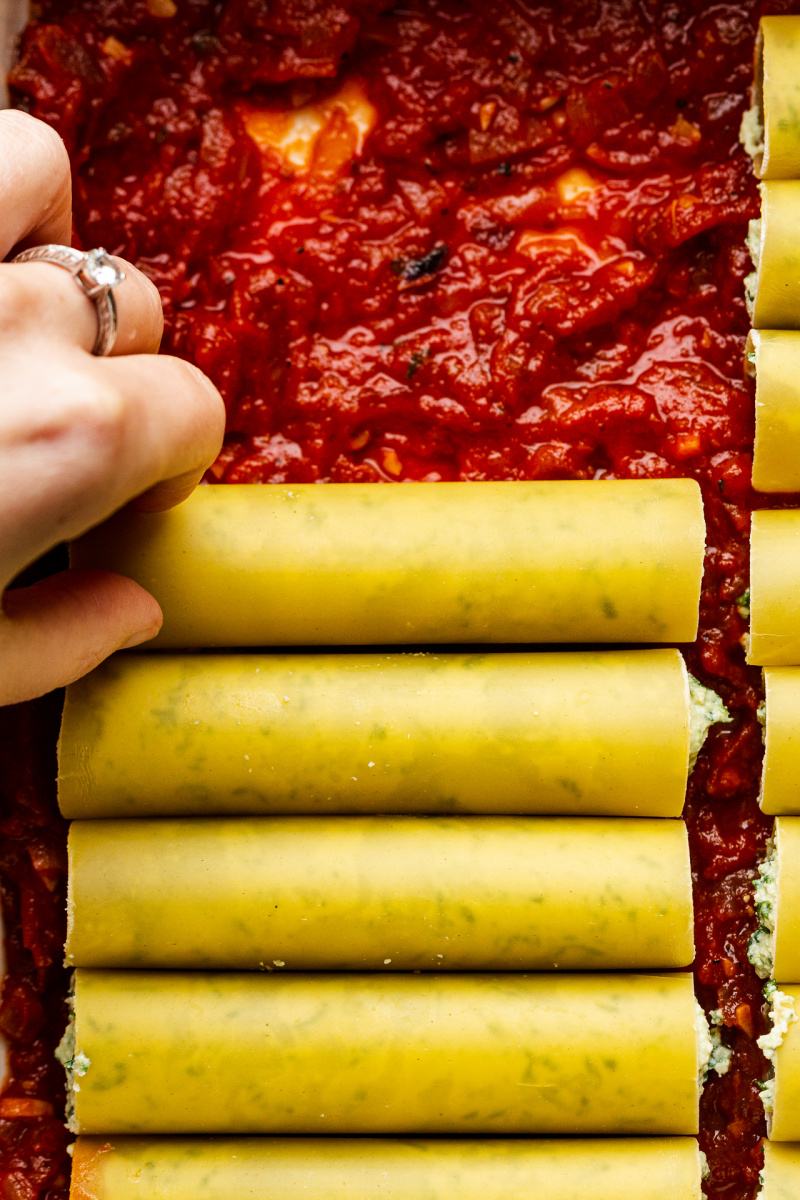 vegan cannelloni tray