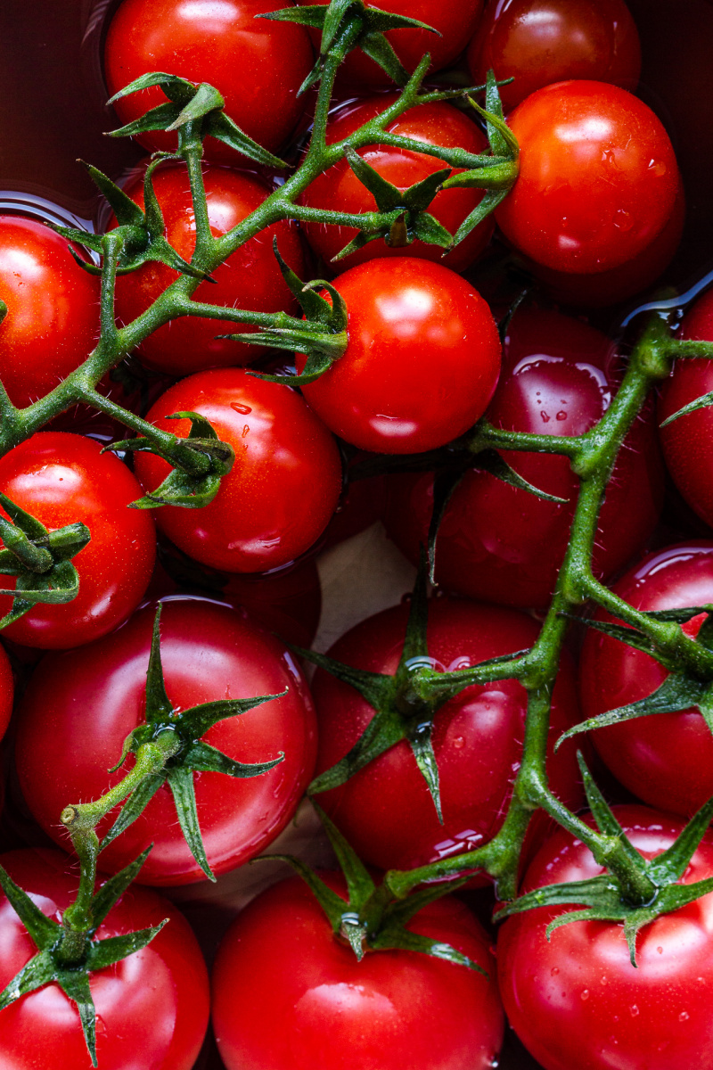 roasted tomato sauce raw tomatoes