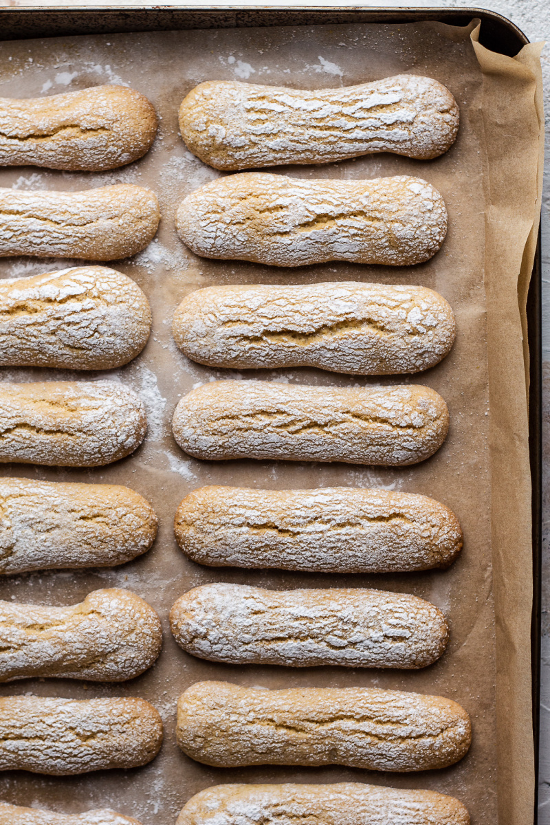 homemade lady fingers for tiramisu