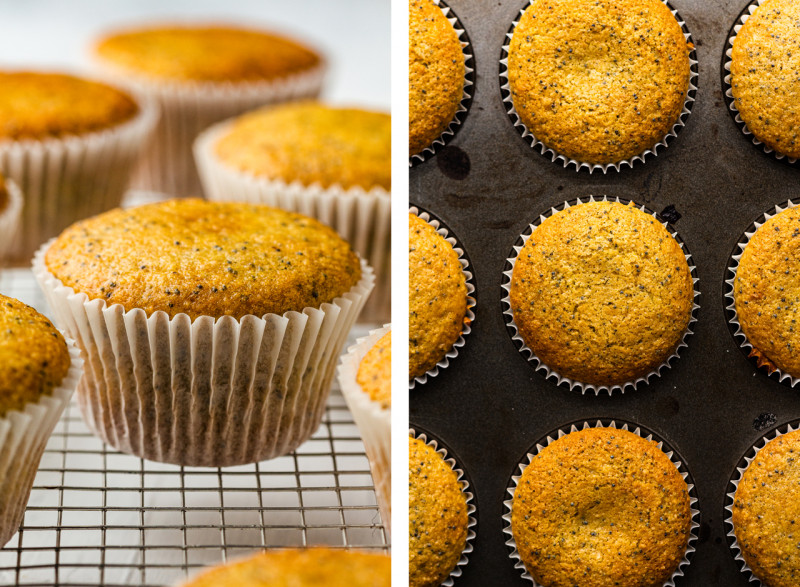 vegan lemon poppy seed muffins baked
