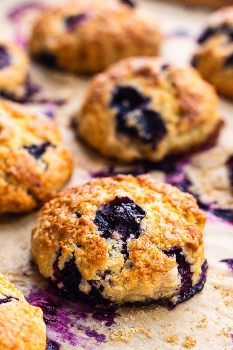 vegan blueberry scones tray backlit