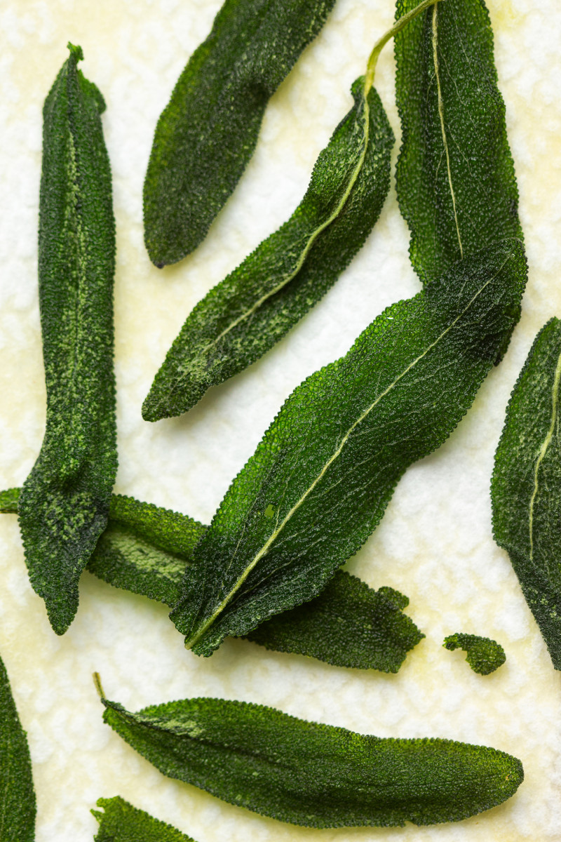 roasted vegetable salad sage