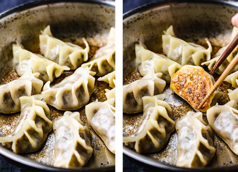 gyoza mushroom tofu panfried