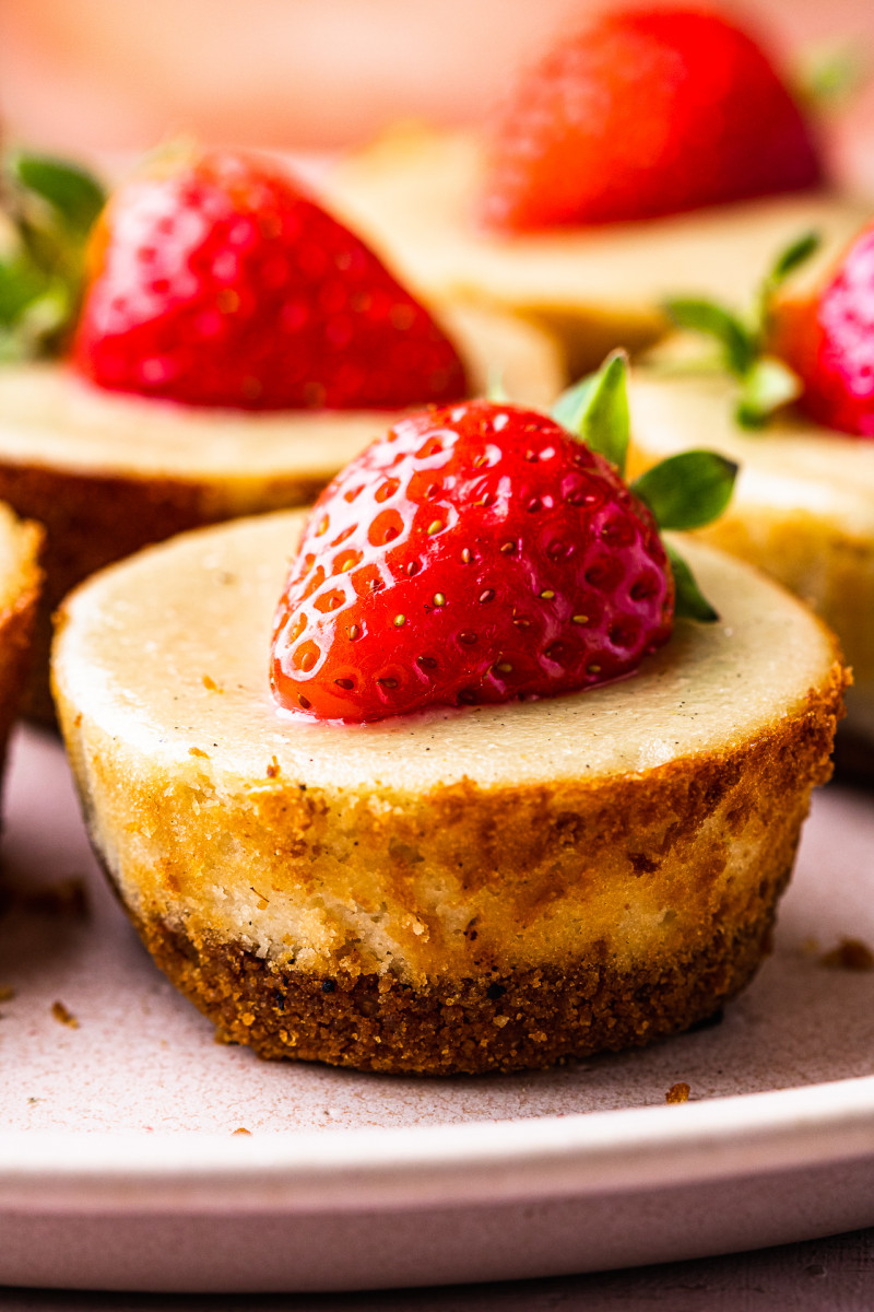 dairy-free cheesecakes close up