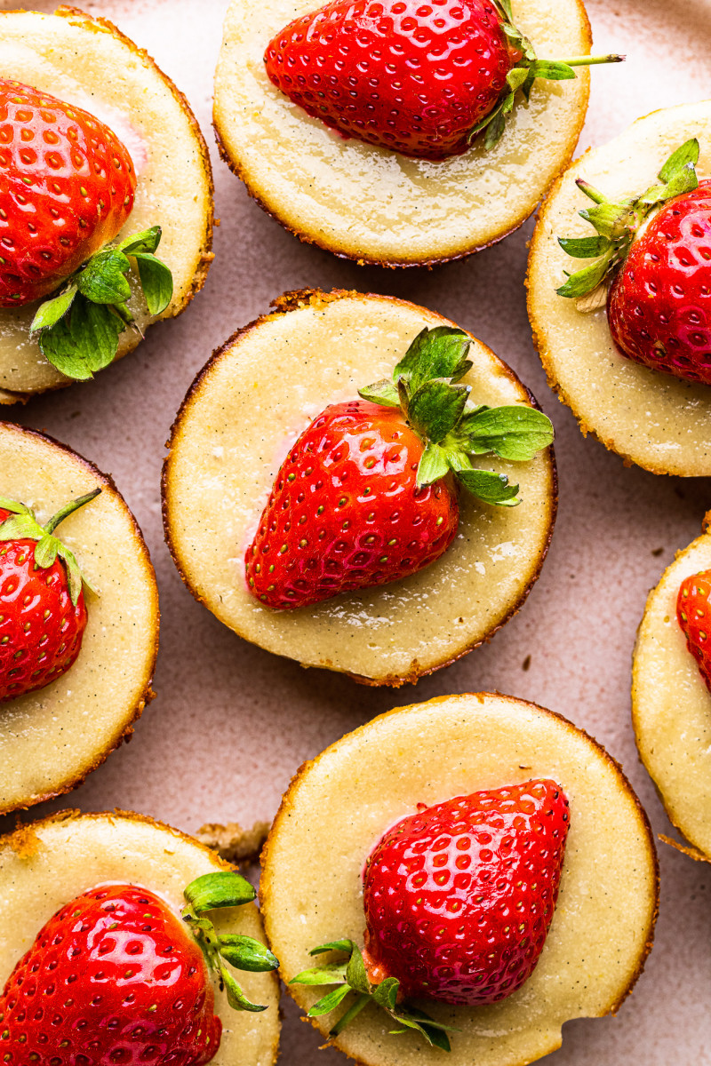 dairy-free cheesecakes plate close