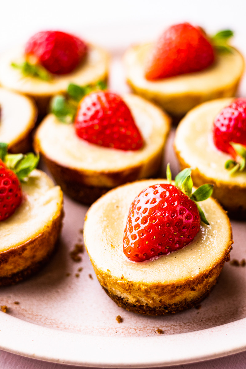 dairy-free cheesecakes side
